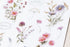 MU Lifestyle Print-On Stickers Positive Energy Clover Pink Flowers Chrysanthemum Rub-On Stickers Transfer Stickers Translucent Sticker | 241