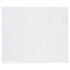 Midori B6 Slim Clear Plastic Cover with Pen Loop
