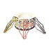 Fountain Pen Nib Paper Clip ROSE GOLD Copper Nib Five Paper Clips