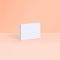 MoteMote MINI Multi-Color Ruled Sticky Notes | USA Located!