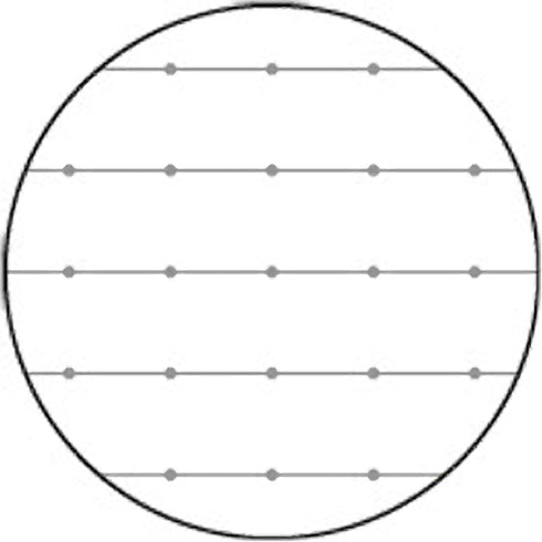 Kokuyo B5 Soft Ring B5 GREEN Notebook Dotted 6 mm Rule | Semi B5 80 Sheets SV308BT