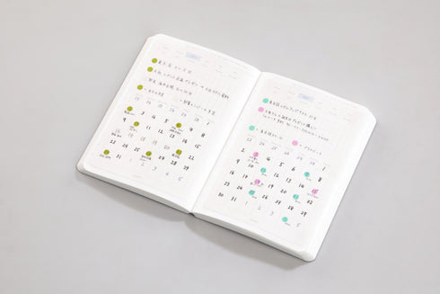 Stalogy Editor's Series RED B6 HALF YEAR Notebook Planner Bujo Grid Notebook