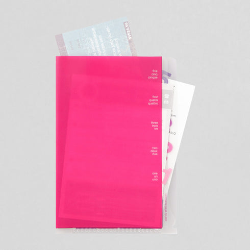 Midori MD A4 5 Pocket Clear Folder | Pink