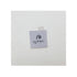 Suatelier Sonia PVC Transparent Stickers Mini Series 102 | Dino 01 Dinosaur Archaeology