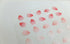 Suatelier Planner Stickers 1667 | Plain Shapes 63 Sakura Petals Cherry Blossom Petal Stickers