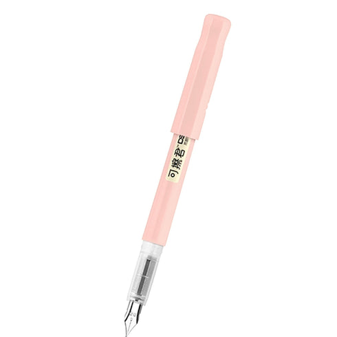 Dianshi ERASABLE Fountain Pen BLACK ink Cartridges