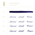 Ferris Wheel Press TANZANITE SKY Fountain Pen Ink Dip Pen Ink Calligraphy Ink Bottle Ink | 38ml