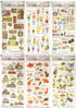 Kamio Japan Stickers JUICE Bubble Tea Smoothie Lemonade Mocha Coffee Drink GOLD FOIL Stickers Watercolor Stickers | 729223