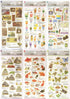 Kamio Japan Stickers JAPANESE ART Japan Portraits Japan Paintings GOLD Foil Stickers Watercolor Stickers | 729225