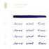 Ferris Wheel Press TANZANITE SKY Fountain Pen Ink Dip Pen Ink Bottle Ink | 85ml