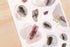 MU Lifestyle Print-On Stickers Rub-On Stickers Transfer Stickers Translucent Stickers 179 | Watercolor Burgundy Coffee Gray Accents