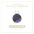 Ferris Wheel Press STROKE of MIDNIGHT SHIMMER Fountain Pen Ink Dip Pen Ink Calligraphy Ink Bottle Ink | 38ml