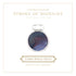 Ferris Wheel Press STROKE of MIDNIGHT SHIMMER Fountain Pen Ink Dip Pen Ink Calligraphy Ink Bottle Ink | 38ml