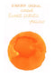 BUNGUBOX Japan SWEET POTATO Yellow (Orange) Sheening Fountain Pen Ink Dip Pen Ink Bottle Ink | 30ml