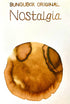 BUNGUBOX Japan NOSTALGIA Sheening Fountain Pen Ink Dip Pen Ink Bottle Ink | 30ml