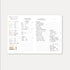 2024 B6 & A6 Papermood SINGLE Book Tomoe River 52gsm One Day Per Page Cousin Techo Planner Notebook Journal | 431 Pages