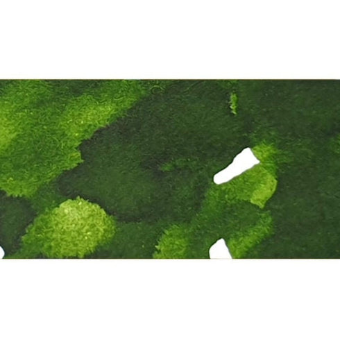 Dominant Industry Ink LEAF GREEN Standard Fountain Pen Ink Handmade Dip Pen Ink Hand Crafted Bottle Ink | 25ml