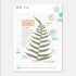 2024 B6 & A6 Papermood SINGLE Book Tomoe River 52gsm One Day Per Page Cousin Techo Planner Notebook Journal | 431 Pages