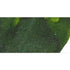 Dominant Industry Ink NATURAL GREEN Glitter Fountain Pen Ink Handmade Dip Pen Ink Hand Crafted Bottle Ink | 25ml