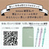 Zebra BIMORE SILVER Japanese Writing Training Japanese Character Training Flexible Pen Training Dr. Aoyama Method 0.5mm | SS-JJ114-S