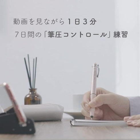 Zebra BIMORE SILVER Japanese Writing Training Japanese Character Training Flexible Pen Training Dr. Aoyama Method 0.5mm | SS-JJ114-S