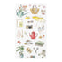 Midori Transfer Stickers TOOLS For LIVING Print-On Stickers Rub -On Stickers Transfer Stickers Translucent Stickers | 2583