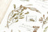 MU Lifestyle Print-On Stickers Rub-On Stickers Transfer Stickers Translucent Stickers 201 | Postage Ephemera Leaves Postage Stamps