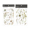 MU Lifestyle Print-On Stickers Rub-On Stickers Transfer Stickers Translucent Stickers 201 | Postage Ephemera Leaves Postage Stamps