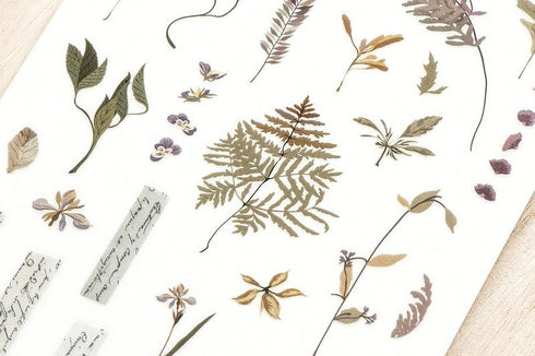 MU Lifestyle Print-On Stickers Rub -On Stickers Transfer Stickers Translucent Stickers 199 | Ferns Taped Pressed Flowers Autumn Mabon Acorns