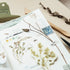 MU Lifestyle Print-On Stickers Rub-On Stickers Transfer Stickers Translucent Stickers 201 | Postage Ephemera Leaves Postage Stamps