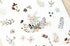 MU Lifestyle Print-On Stickers Rub-On Stickers Transfer Stickers Translucent Stickers 202 | Whimsical Memories Carnations Roses