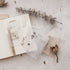 MU Lifestyle Daily LIFE Dyeing Tracing Paper Ephemera Vellum Paper Watercolor Paper Translucent Paper Planner Paper Scrapbooking | DTP-018