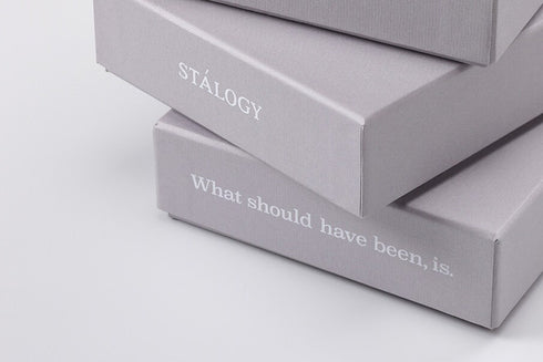 Stalogy Anniversary RED Box Set Editor's Series FULL YEAR Notebook 10th Anniversary Edition Box Set Pen Book Band Editor's Notebook