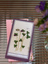 Papermood Flower WRITING BOARD Pencil Board Bookmark Underlayment Tracing Writing Aid Pencil Board Pen Soft PVC