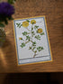 Papermood Flower WRITING BOARD Pencil Board Bookmark Underlayment Tracing Writing Aid Pencil Board Pen Soft PVC