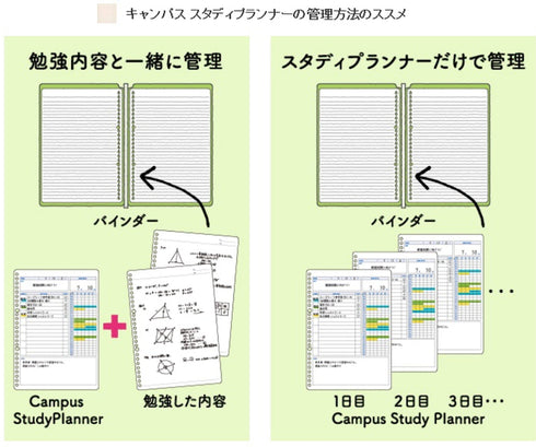 Kokuyo Campus Study Planner Loose Leaf Paper Y836GD DAILY Visualized Girly PINK 26 Holes 30 Sheets | B5
