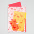 Midori MD A5 3 Pocket Clear Folder | Flamingo