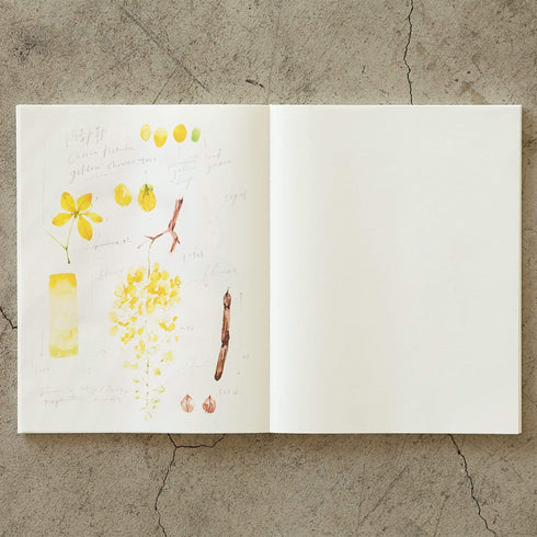 Midori MD Pencil Drawing Kit