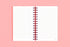 MOTEMOTE Rose Quartz 10 Minute Planner | Half Year - USA located!