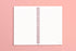 MOTEMOTE Rose Quartz Ten Minute Planner | 100 Days - USA located!