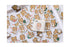 Premium Die-Cut Stickers Shiba Inu