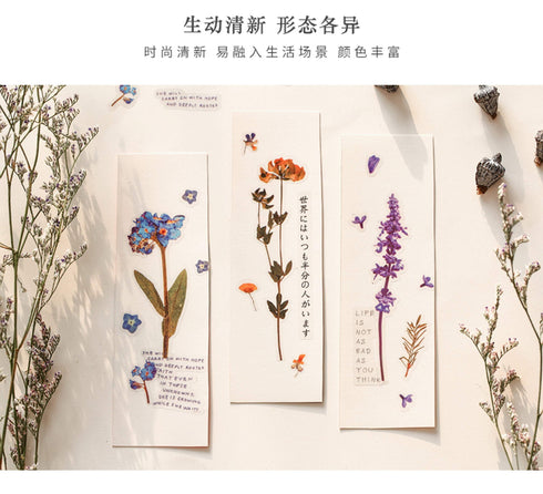 Realistic Flowers Blossoms PET Transparent Dainty Stickers | Cherry Blossom Sakura