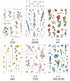 Realistic Flowers Blossoms PET Transparent Dainty Stickers | Rose