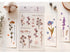 Realistic Flowers Blossoms PET Transparent Dainty Stickers | Rose