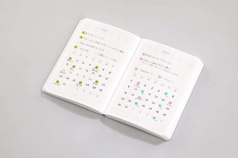 Stalogy Editor's Series 365Days Notebook | A5 Black