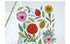 Suatelier Sonia PVC Stickers 2046 | Dear My Love Flower Stickers Daisy Stickers Zinnia Stickers